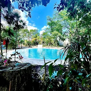 Hotel Tequila Cancun, Cancún